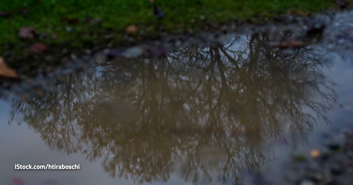 El clima del viernes 25 de julio de 2025 para Neuquén
