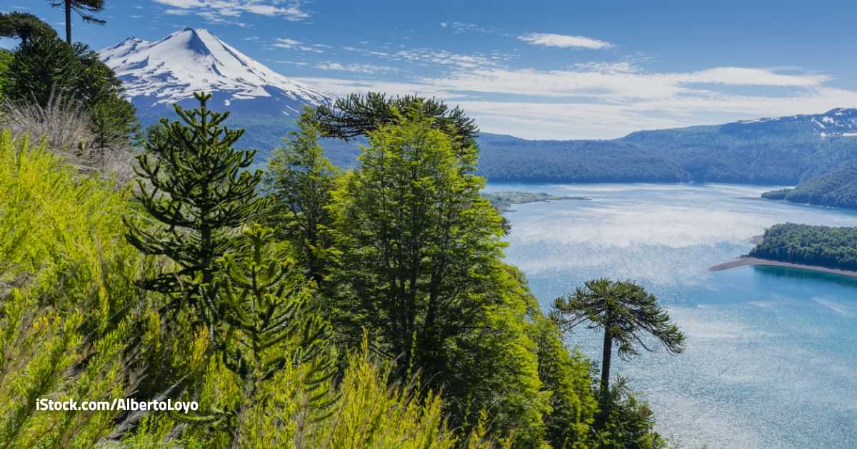 El clima del martes 26 de agosto de 2025 para Temuco